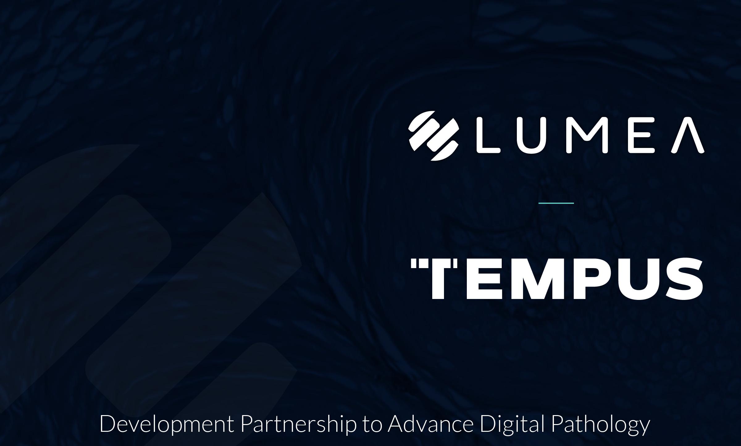 Lumea Selects Tempus AI-Driven Digital Pathology Solutions