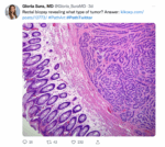 Pathology Resources on Twitter