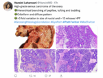 Pathology Learning Resources on Twitter