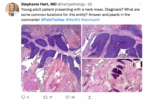 Pathology Learning Resources on Twitter