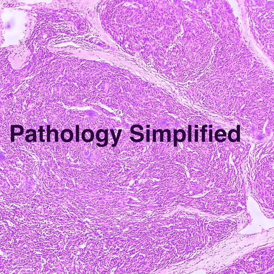 Best 20 Pathology YouTube Channels | Lumea