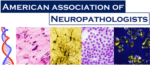 American Association of Neuropathologists logo