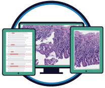 Diagnosis plus digital pathology package