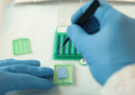 lab tech moves biopsies from BxBoard to BxChip