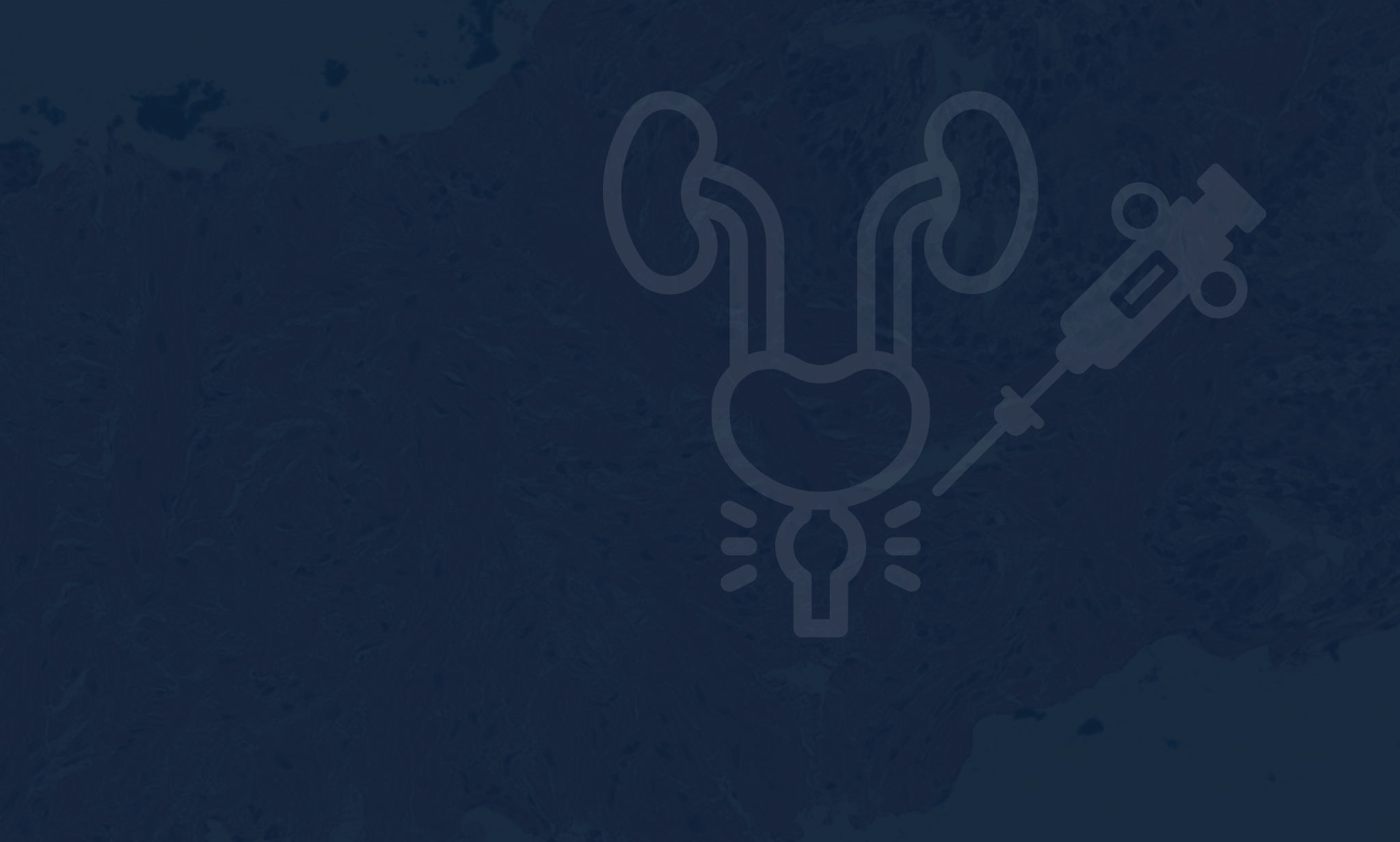 Prostate Biopsy Core Length – Does Size Matter?