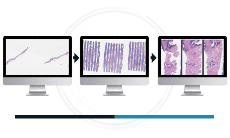 Viewer overview image showing our ability to view multiple levels of a specimen simultaneously