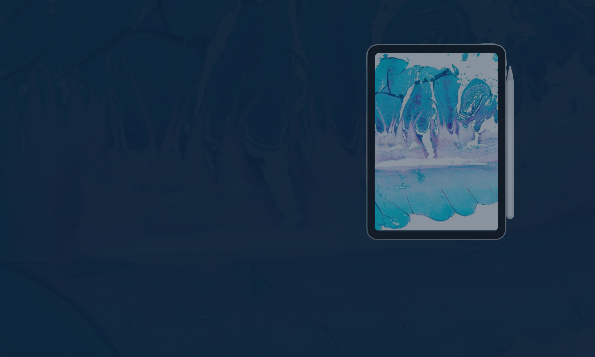 Is Digital Pathology Better for Individual Pathologists than Traditional Pathology?