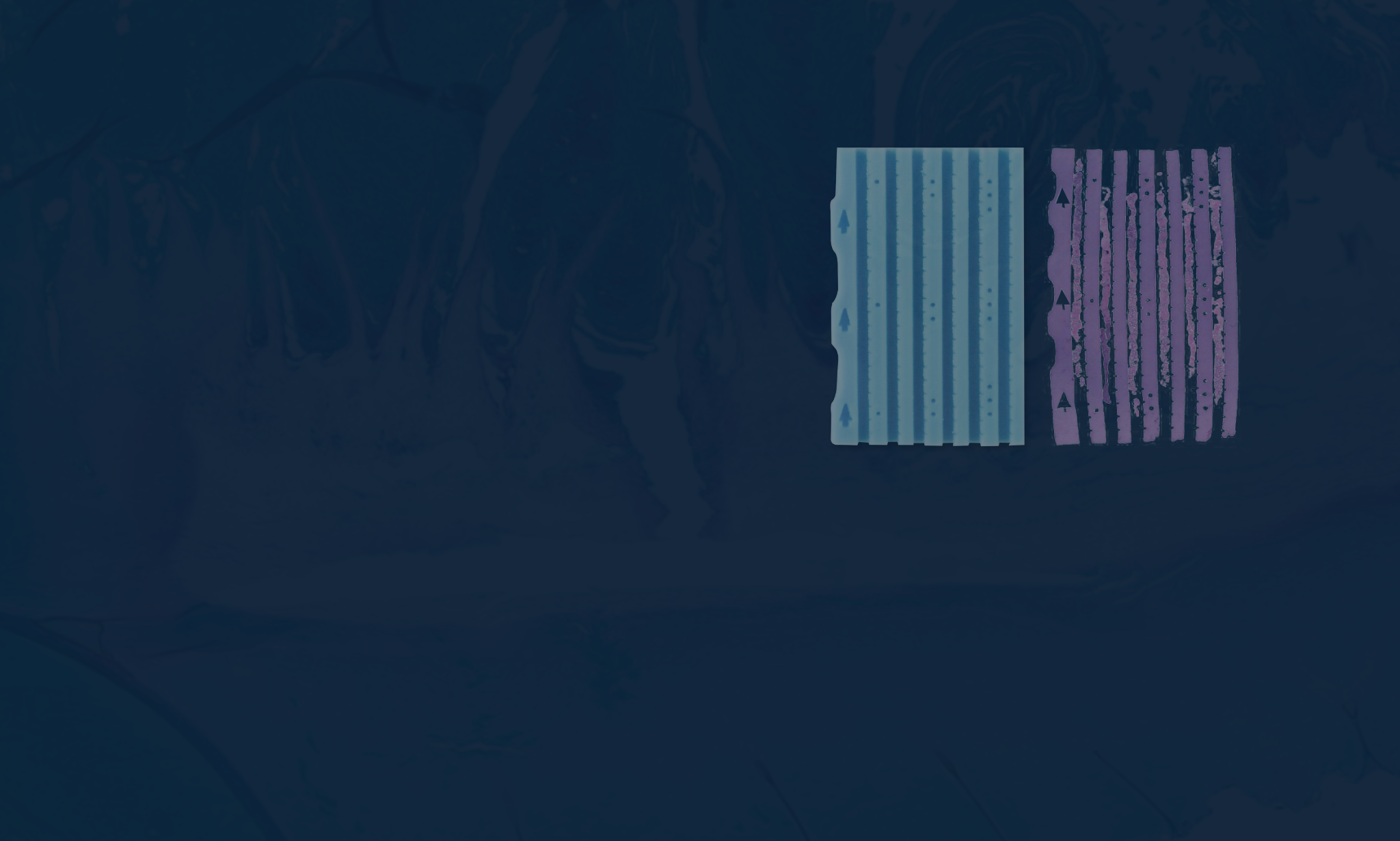 Raising the Bar in Specimen Quality with the Lumea BxChip®