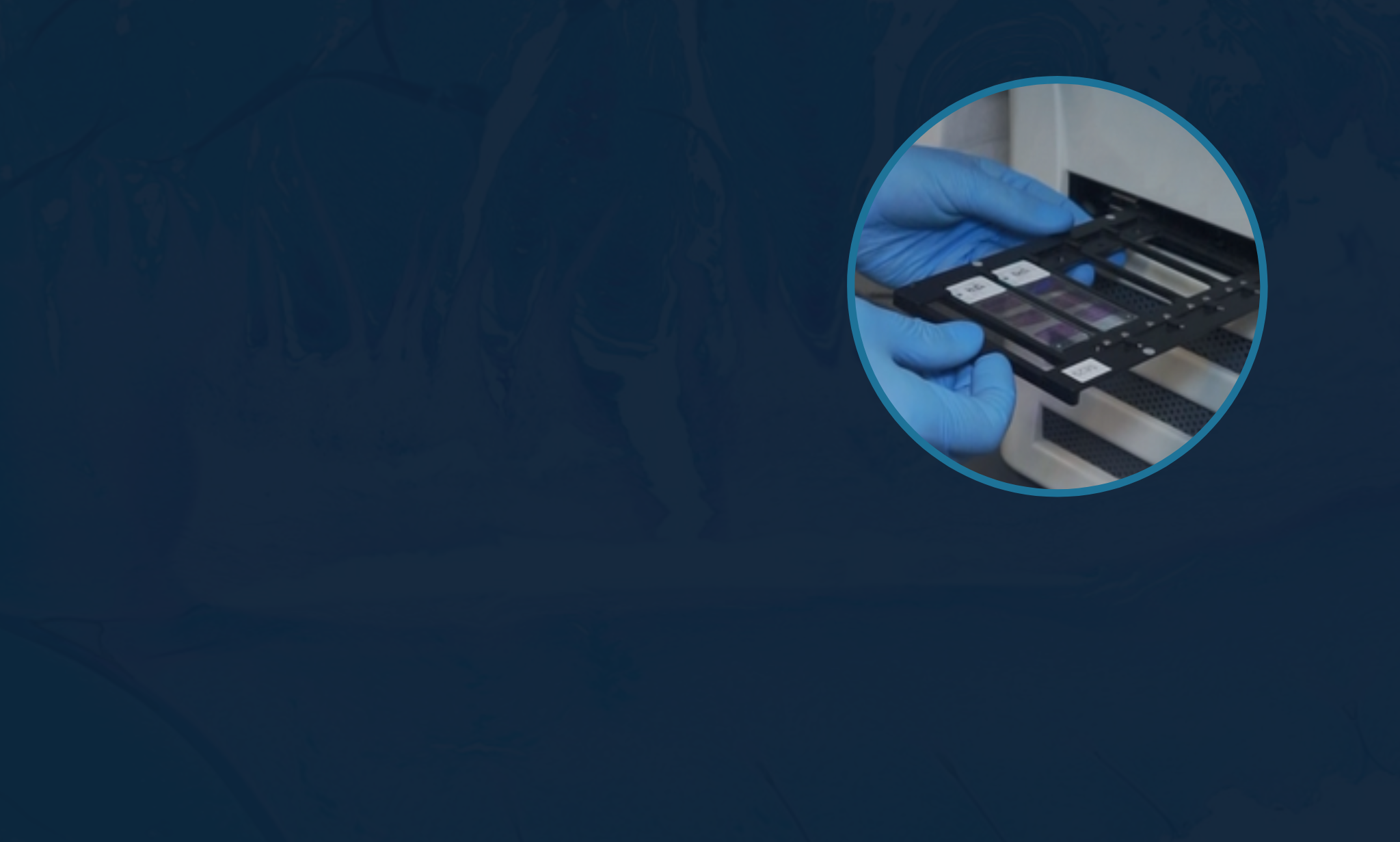 Factors to Keep in Mind When Implementing Digital Pathology in Labs