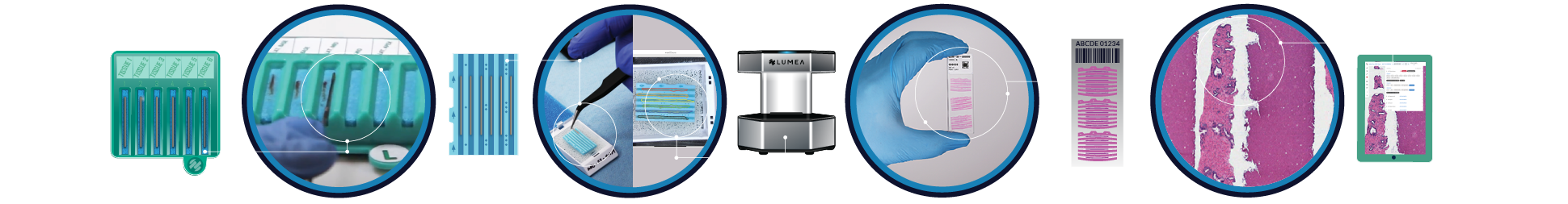 Lumea workflow flow chart