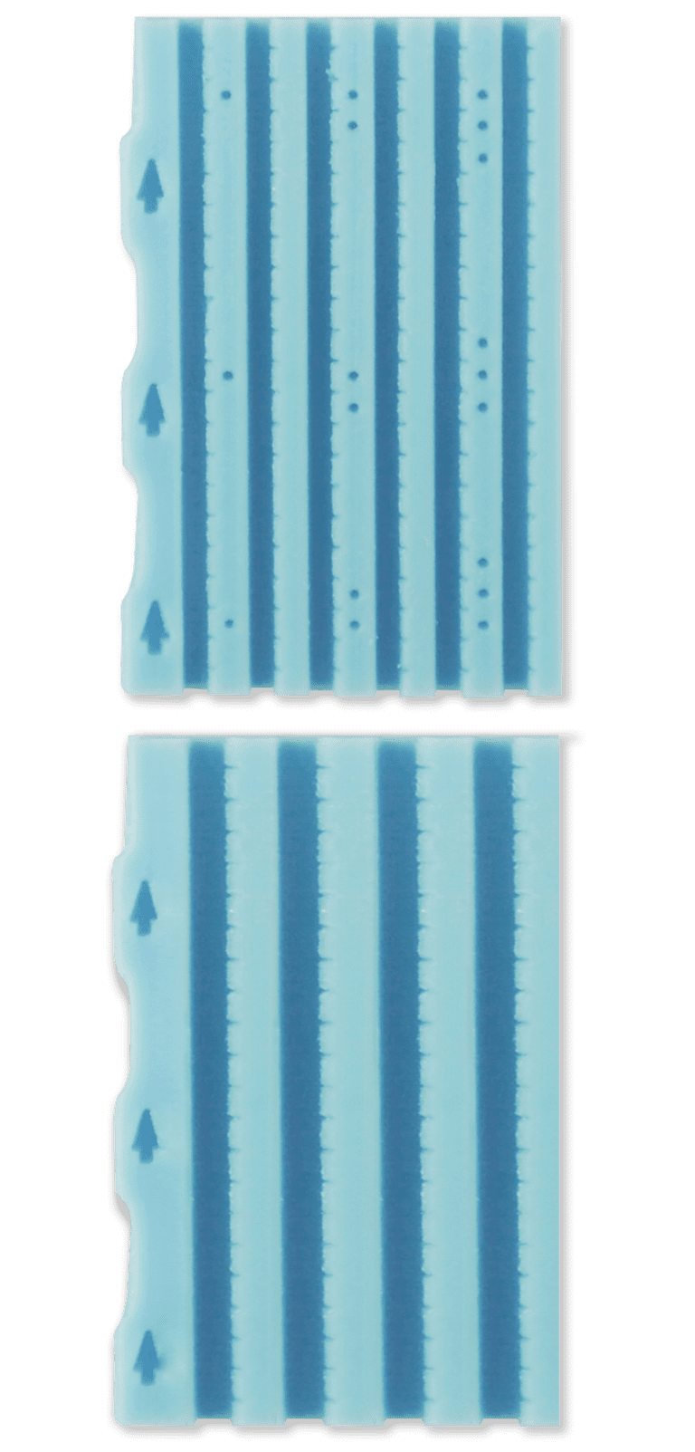 BxChip 6-lane and 4-lane
