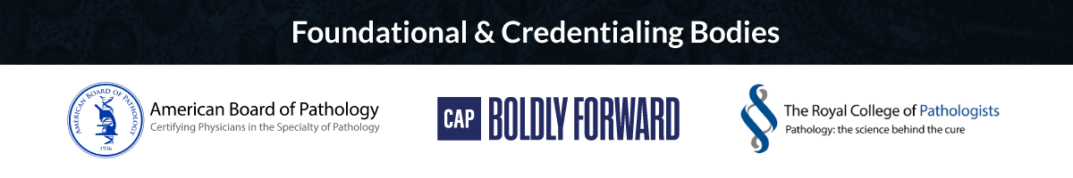 Foundational & Credentialing Bodies organization logos