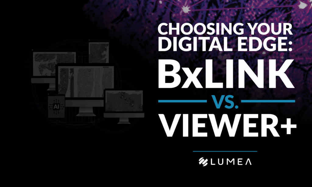 BxLink vs Viewer+ blog preview image | Lumea Choosing your digital edge: BxLink vs Viewer