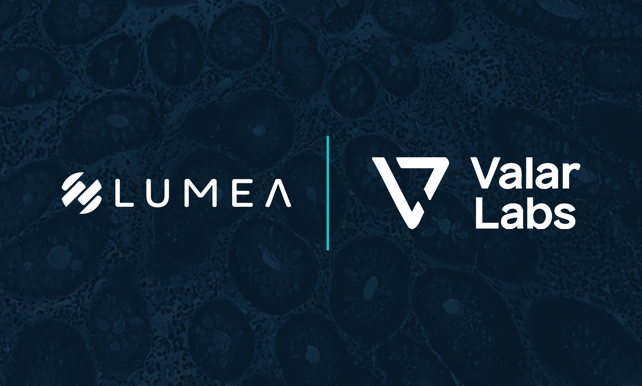 Lumea and Valar Labs Announce Partnership | Lumea Lumea and Valar Labs Announce Partnership